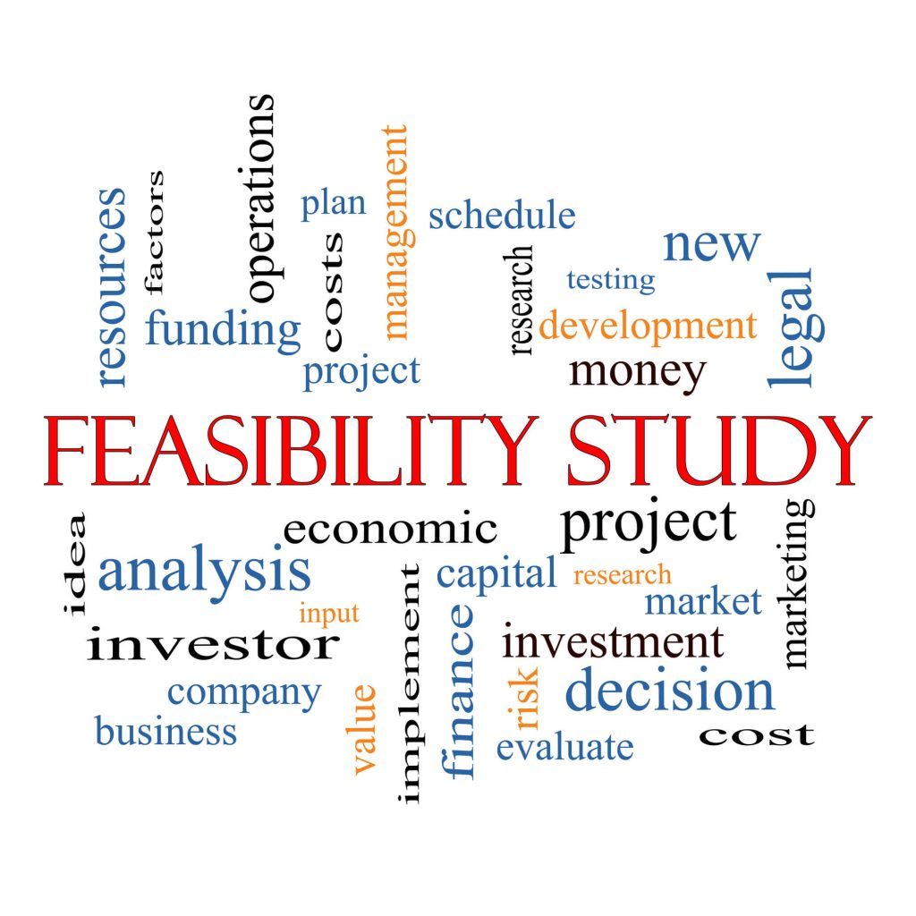 Feasibility Study & Litigation Expert